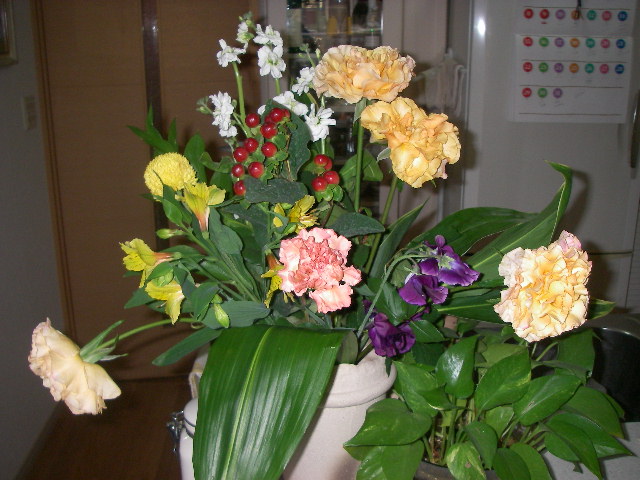 c0023212_1535750.jpg
