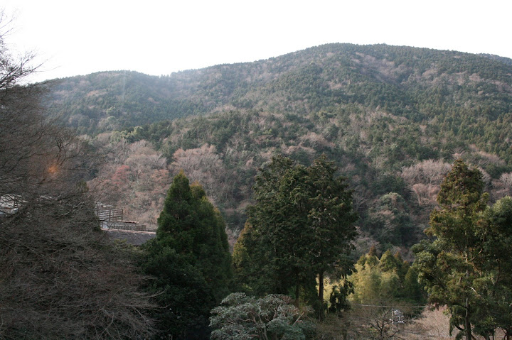 d0070113_13513945.jpg