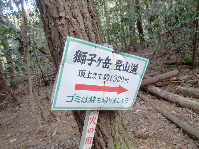 d0170615_1073115.jpg