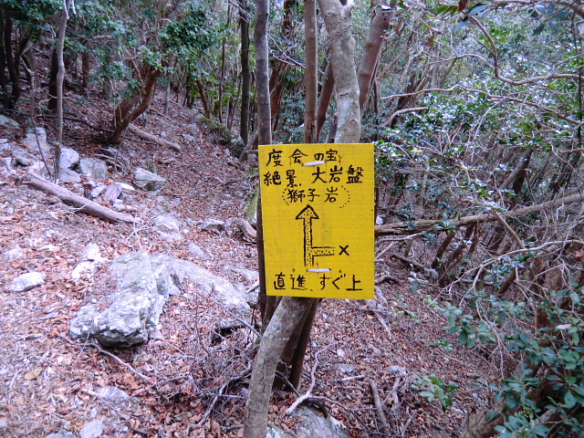 d0170615_1083395.jpg