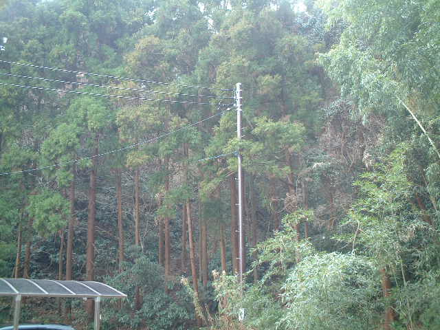 b0096418_10542530.jpg