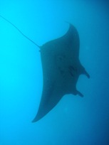 a0043520_2211110.jpg