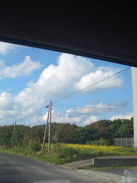 f0197325_20495722.jpg