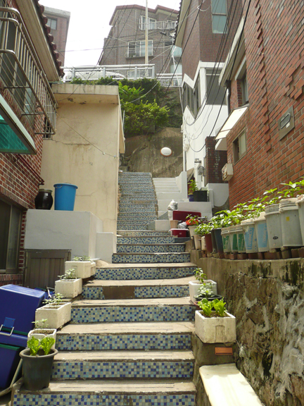 b0088340_13295087.jpg
