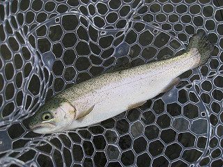 f0065341_17463218.jpg
