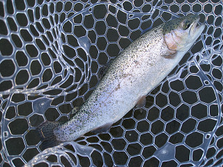 f0065341_17491480.jpg