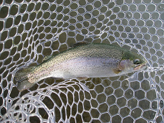 f0065341_17553175.jpg