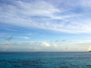 f0190653_16464051.jpg