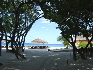 f0190653_16533938.jpg