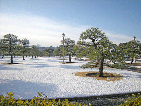 a0001354_21524478.gif