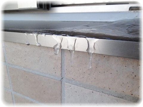 c0032257_11455062.jpg