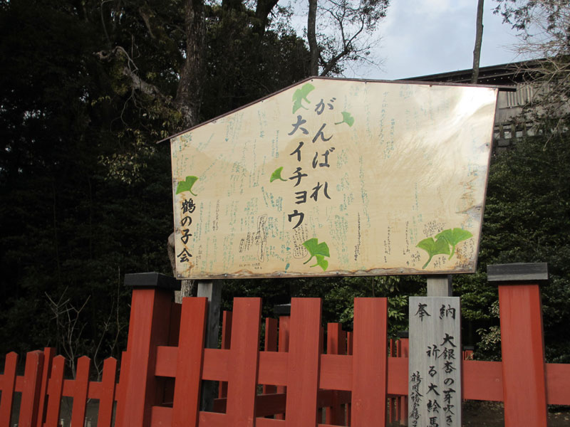b0031558_6473394.jpg