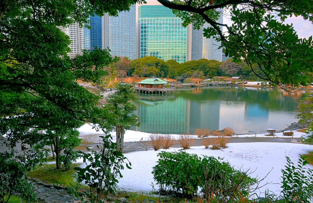 a0150260_2343485.jpg