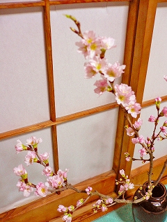 f0211463_13463333.jpg