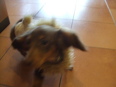 d0080269_10265048.jpg