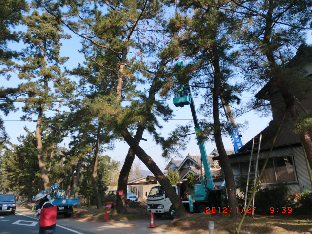 d0007071_2291169.jpg