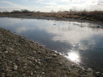 c0112172_322262.jpg