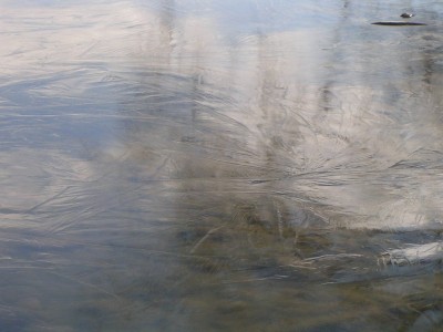 c0112172_324518.jpg