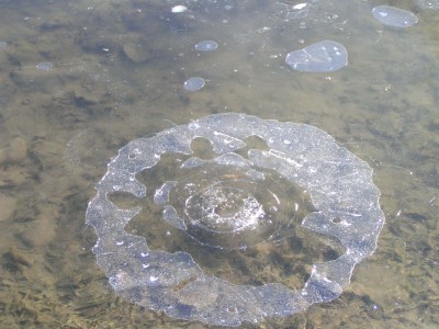c0112172_325898.jpg