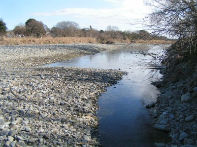 c0112172_333164.jpg
