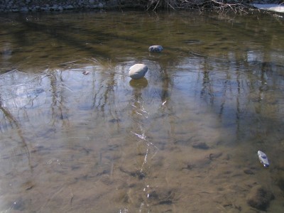 c0112172_3393.jpg