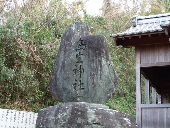 e0165472_0154944.jpg