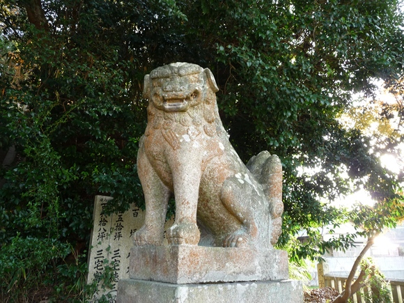 e0165472_085383.jpg
