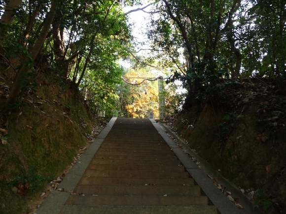 e0165472_09667.jpg