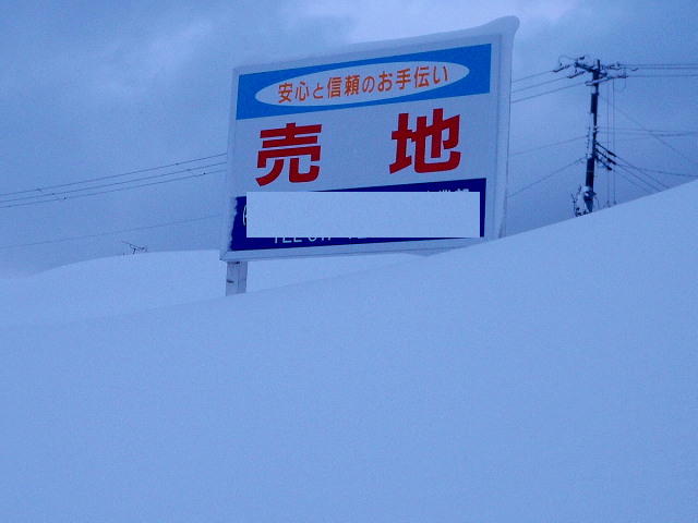 a0007388_17385362.jpg