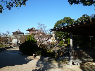f0197504_10595748.jpg