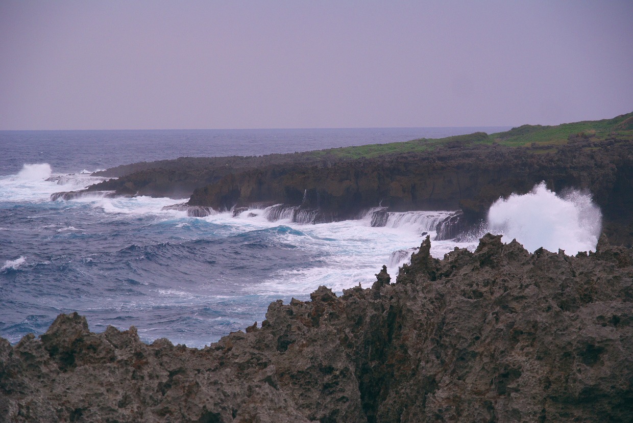b0174905_9125112.jpg