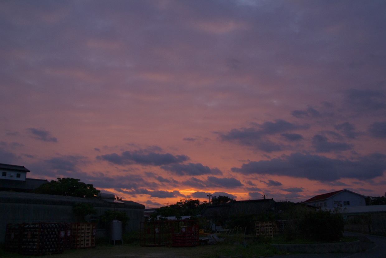 b0174905_9142584.jpg