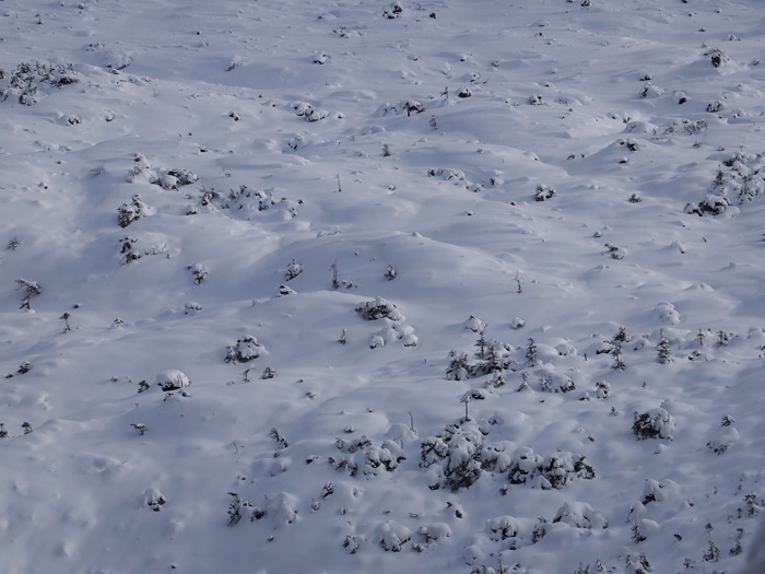 c0110112_23503461.jpg