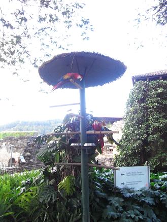 a0247515_1821413.jpg