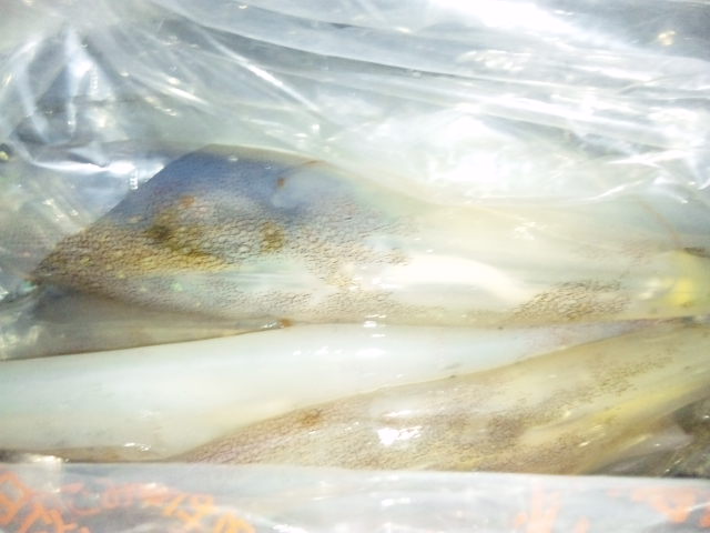 e0253927_2485167.jpg