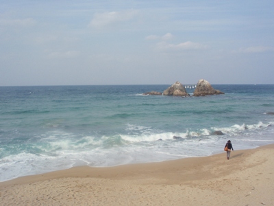 d0087639_22532315.jpg