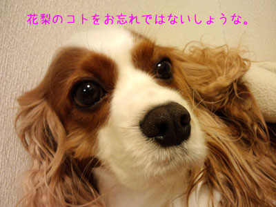a0120944_2251479.jpg