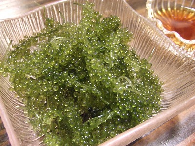 e0173645_13111791.jpg
