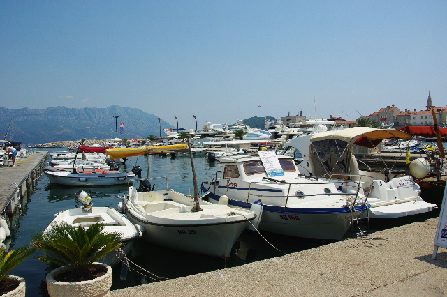 c0011649_983646.jpg