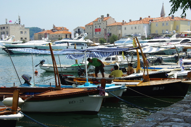 c0011649_991270.jpg