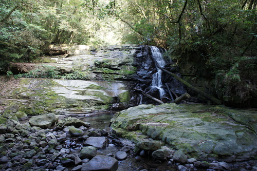 d0146153_15502790.jpg