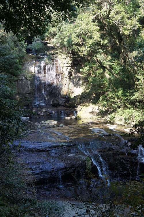 d0146153_15541420.jpg