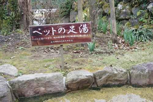 d0146153_1664770.jpg