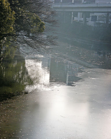 a0001354_2222177.gif