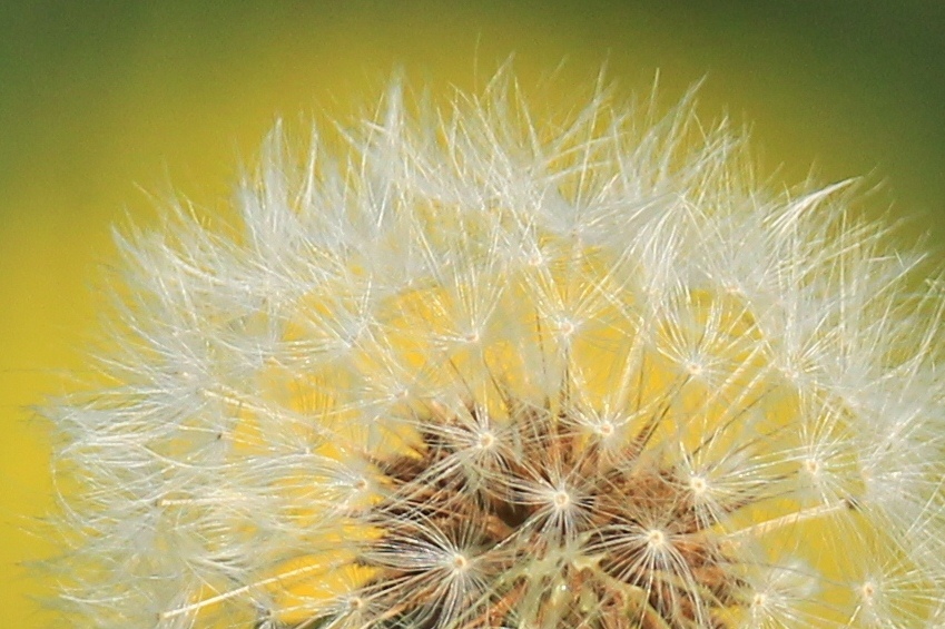 c0136654_0342185.jpg