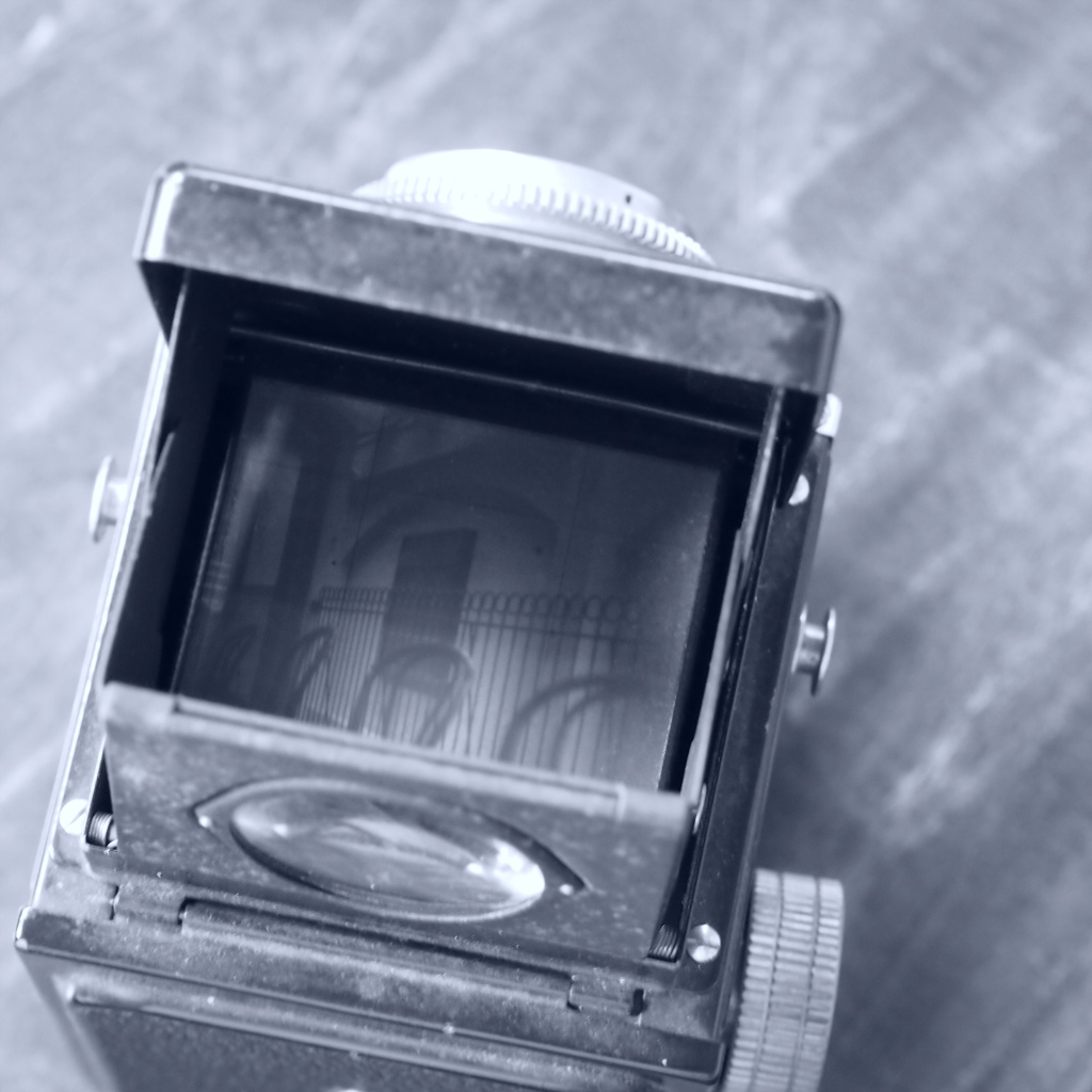 a0255458_2021261.jpg