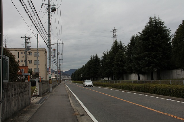 b0095061_1084915.jpg