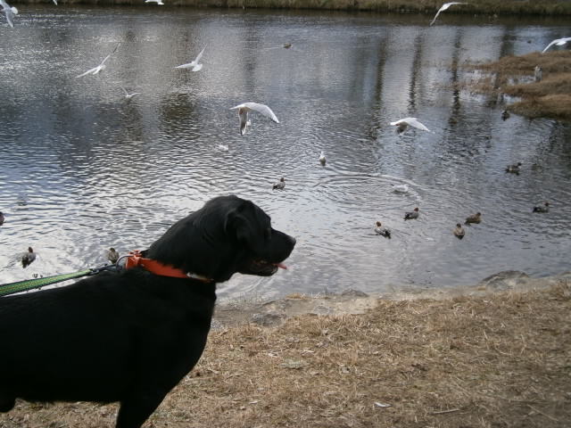 c0128862_18301366.jpg