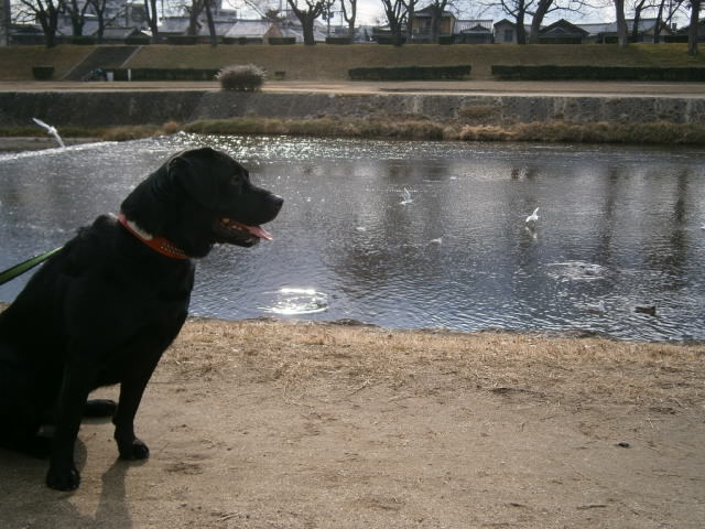 c0128862_18304651.jpg