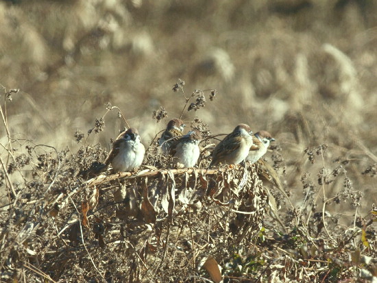 f0208666_13232753.jpg